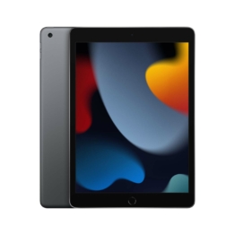 Apple iPad 10.2 Wi-Fi 256GB spacegrau 9.Gen