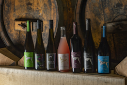Monatliches Naturwein Abo – Flexible Laufzeit