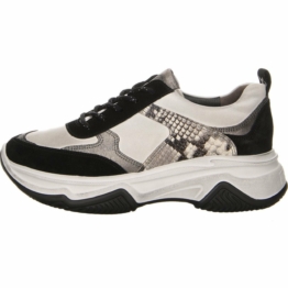 Paul Green Sneaker in multicolor