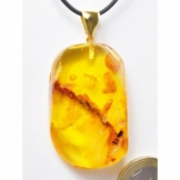 Adelia´s Kettenanhänger »Bernstein Anhänger 925 Silber vergoldet«