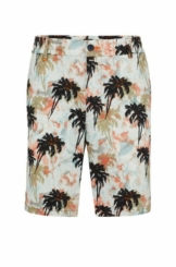 BOSS Shorts Herren Shorts TABER (1-tlg)