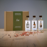 Unser Gin-Abo für Einsteiger