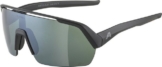 Alpina Sports Sonnenbrille TURBO HR Q-LITE BLACK MATT