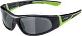 Alpina Sports Sonnenbrille FLEXXY JUNIOR